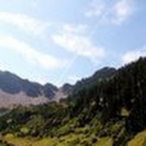 Meet your Posher, Joel